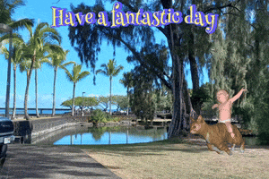 Have A Fantastic Day GIF