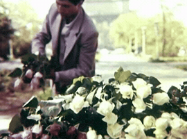 80S GIF