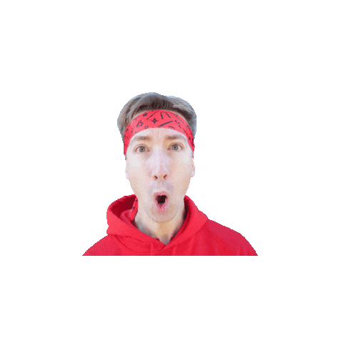 Spy Ninjas Sticker