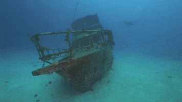 Seaquest philippines underwater wreck scubadiving GIF