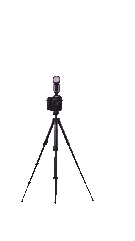 Jbphoto Sticker by Joe Burgett Photography