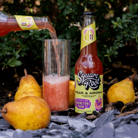 Drinks GIF by Square Root Soda