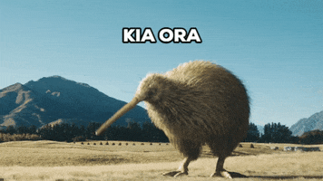 Kiwi Maori GIF by Pure New Zealand