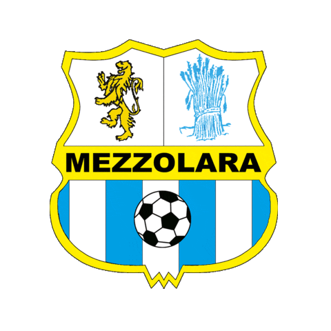 MezzolaraCalcio Sticker