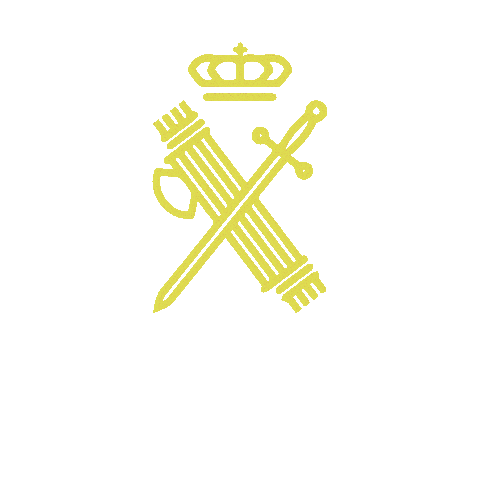 Academia Guardia Civil Sticker by ProCivilAcademia