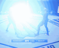 Fight GIF