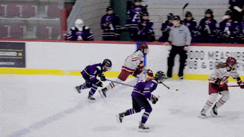 Ice Hockey GIF by Norwich University