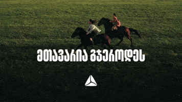 თიბისი GIF by TBC Bank