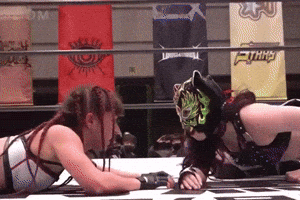 Wwe All Elite Wrestling GIF