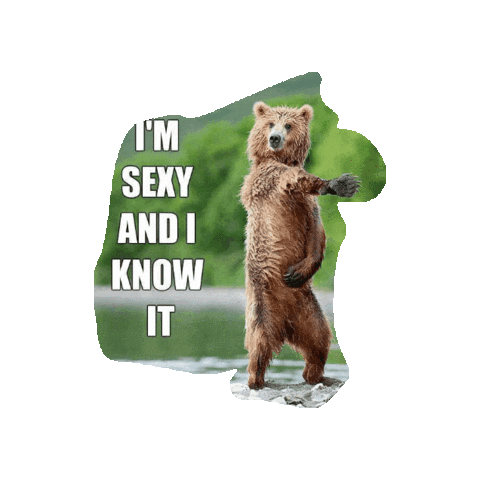 Animated Sticker