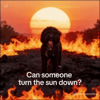 Summer Melting GIF