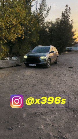 X396S GIF