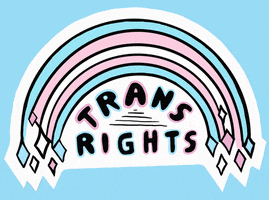 Trans Day Of Visibility Rainbow GIF by Fox Fisher