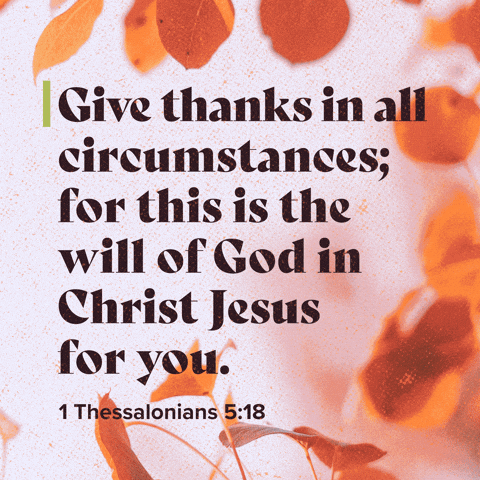 Circumstance GIFs - Get the best GIF on GIPHY