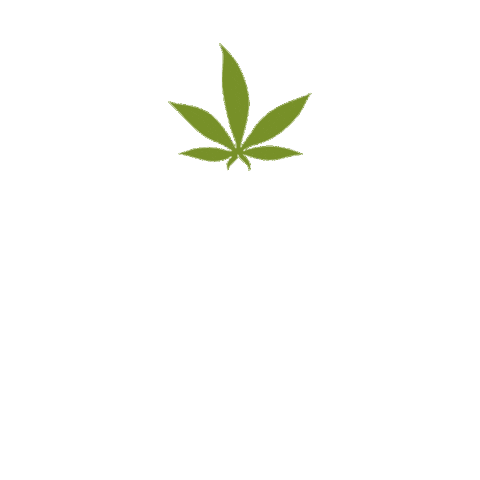 Iced Tea Relax Sticker by Pella Biocannabis Farm