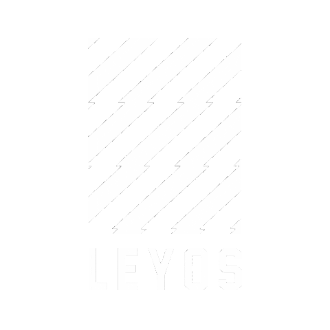 Leyomotorsport Sticker by LEYO