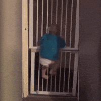 video escape reddit prison sweatypalms GIF