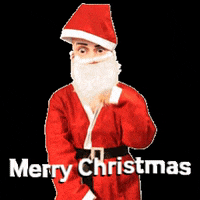 Christmas Fre GIF - Christmas Fre Funny - Discover & Share GIFs