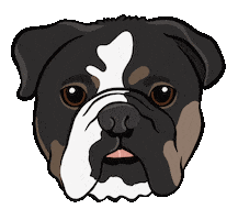 English Bulldog Illustration Sticker by Es Super Fun