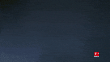 Bayer 04 Hello GIF by Bundesliga