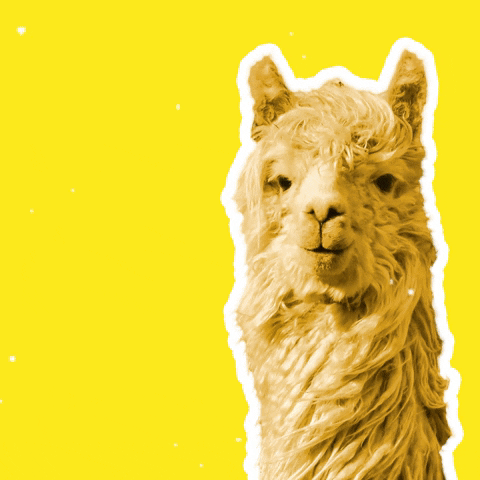 Pfanner Italia GIF