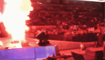 Wwe GIF
