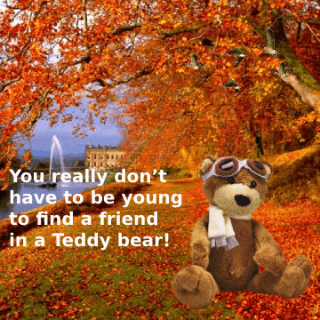 Teddy Bears Fall GIF