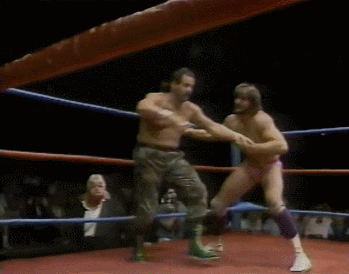 Wrestling GIF