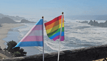 Rainbow Beach GIF by AceArchive