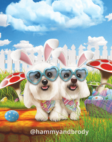 Dogs Easter GIF by HammyandBrody