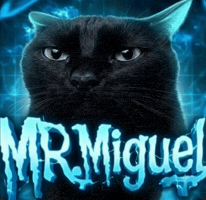 Black Cat GIF