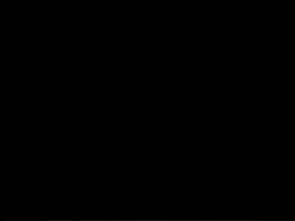 Meme GIF