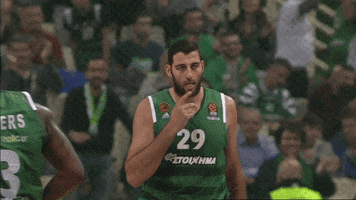 count it ioannis bourousis GIF by EuroLeague