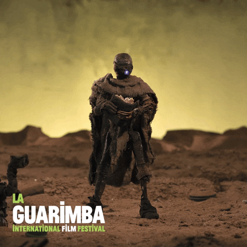 What The Hell Wtf GIF by La Guarimba Film Festival
