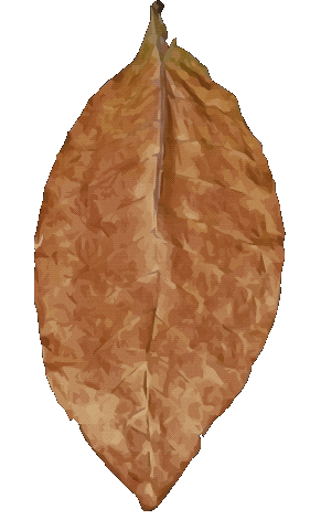 Smoke Smoking Sticker by Route7Cigars