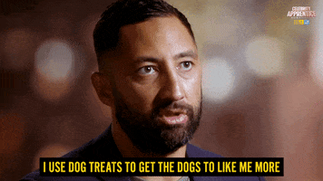 Dogs React GIF by Celebrity Apprentice Australia