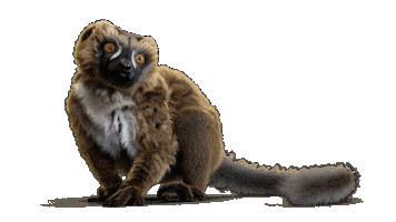 Maki Aida Sticker by AIDA_Cruises