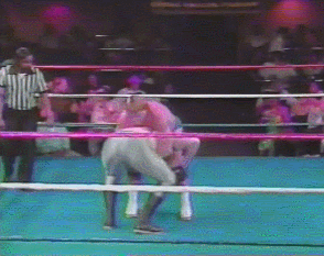 Wwf GIF
