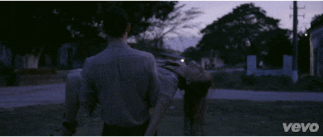 Florence Welch GIF by Vevo
