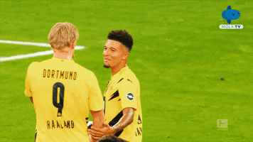Give Germany GIF by MolaTV