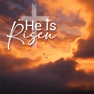 GIF by FirstCry Parenting