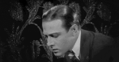 rudolph valentino camille GIF by Maudit