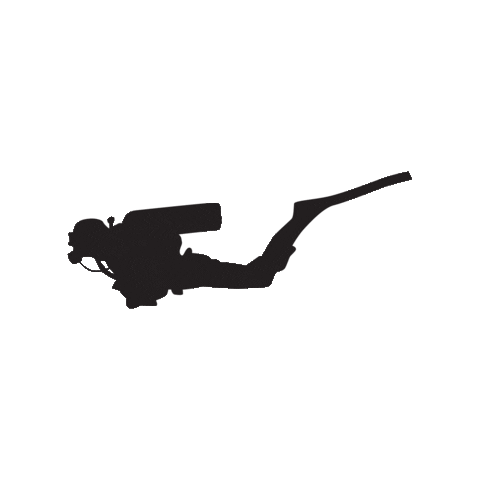 Diving Scuba Sticker by Valsugana Rugby Padova