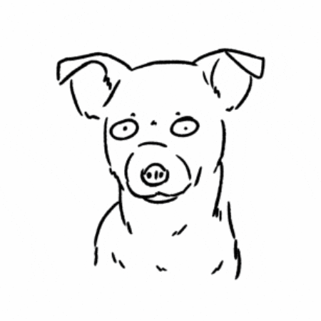 Shocked Dog GIF by butpoorlydrawn