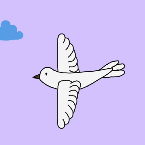 Flying White Bird GIF by My Doodles Atalier