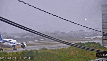일본 GIF