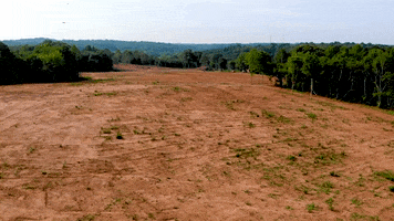 JCPropertyProfessionals logging drone footage land clearing birds flying GIF