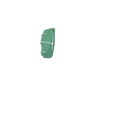 Kite Kitesurfing Sticker