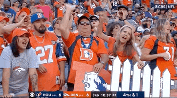 Denver Broncos Football GIF by NFL