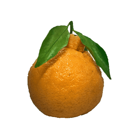 Orange Sticker by suikanosato